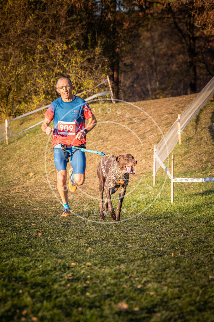 CaniXpix_0L8A1434 | Hundefotografie, Tierfotograf, Pfotenfotografie, Fotoshooting Hund, Hunde Portrait, Hundesport, Hundeportraits, Heideshooting, Hunde, Sportfotograf, Hundefotograf, Turnierhundsport, THS,  - Realisiert mit Pictrs.com