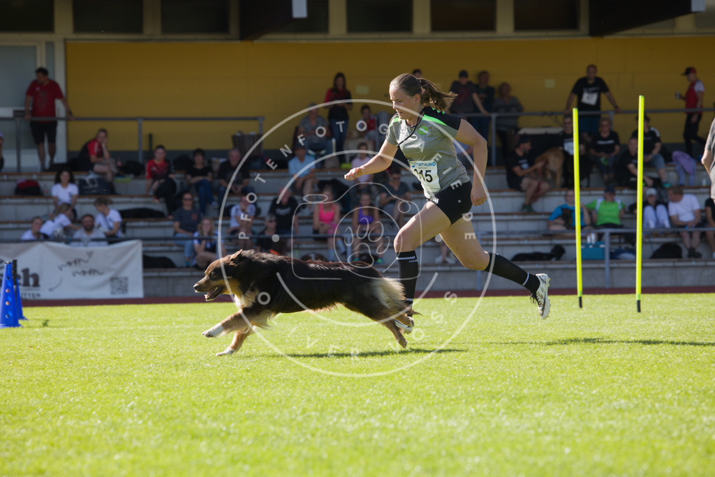 0L8A8151 | Hundefotografie, Tierfotograf, Pfotenfotografie, Fotoshooting Hund, Hunde Portrait, Hundesport, Hundeportraits, Heideshooting, Hunde, Sportfotograf, Hundefotograf, Turnierhundsport, THS,  - Realisiert mit Pictrs.com