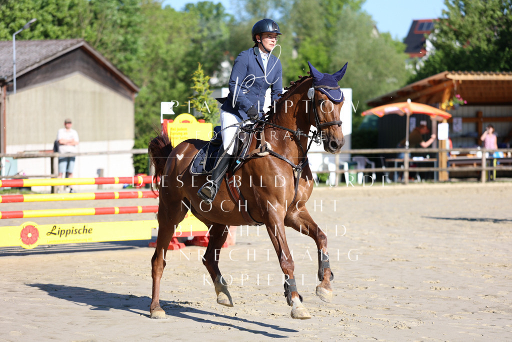 IMGS6157 | pl-fotografie