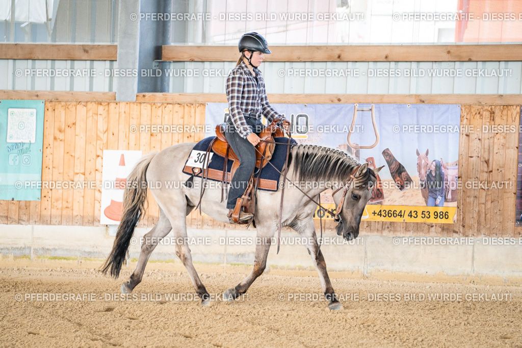 DSC01800 | Pferdegrafie