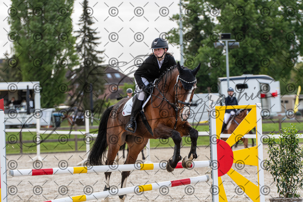 KPT_7733 | andre_photographic