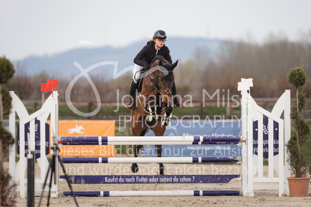 230406_Frühlingsfest_A-Stil2-230 | Deine schönsten Turniermomente als professionelle Fotos! Entdecke hochwertige Pferdesport-Fotografie im Online-Shop. Jetzt Fotos finden & bestellen!