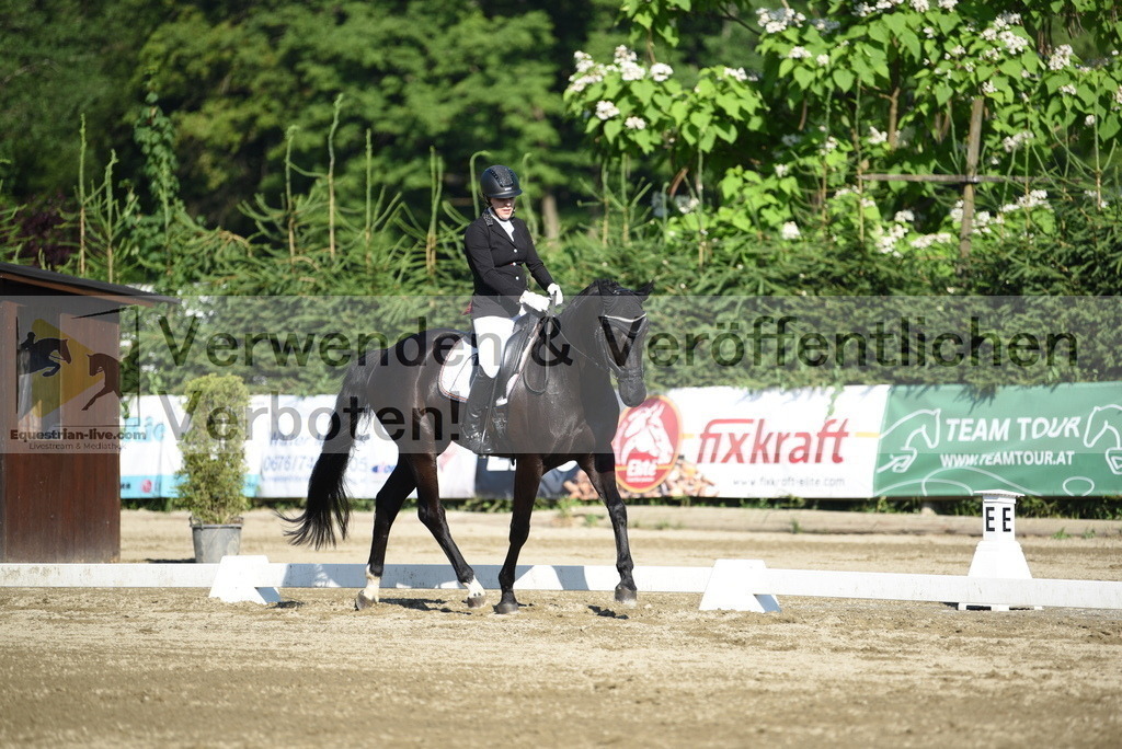 DSC_7096 | equestrian-live-com