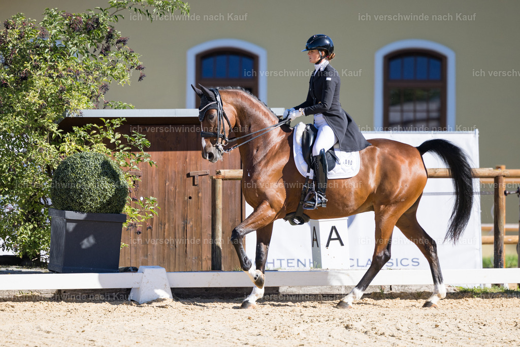 FHC2026_P07_80_17370 | working equitationturnier fotograf videograf stoibphotography marixx film working equitation deutschland reitsport turnierfotografie eventfotografie equestrian events