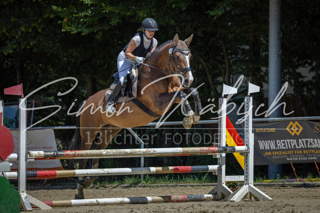 20260704-_3LI8443 | Tierfotografie Pferde, Hunde, Katzen, Haustiere.
Turnierfotografie Reitturniere, Reiten, Springreiten, Dressur in Hanau, dem Main-Kinzig-Kreis und dem Rhein-Main- Gebiet um Frankfurt