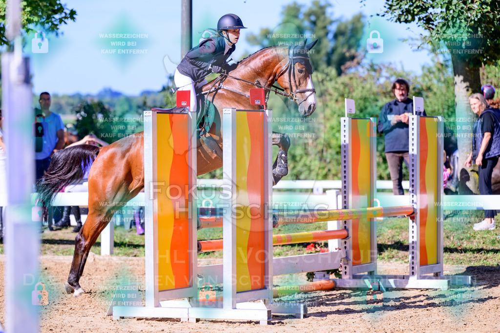30082026-Giesenbach-Prfg16-0315 | Fokus Hufschlag Fotografie - Realisiert mit Pictrs.com
