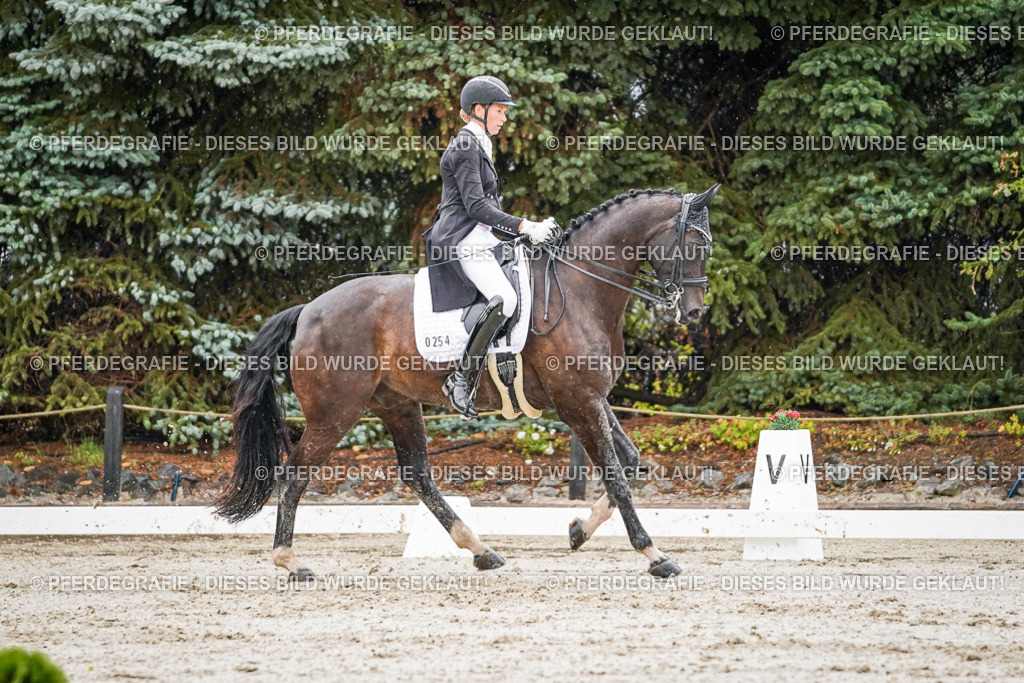 DSC08867 | Pferdegrafie