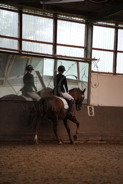 DSC06272 | Pferdefotografie in Köln und Umgebung – emotionale Pferdeshootings, Turnierfotografie und besondere Momente zwischen Pferd und Mensch. - Realisiert mit Pictrs.com
