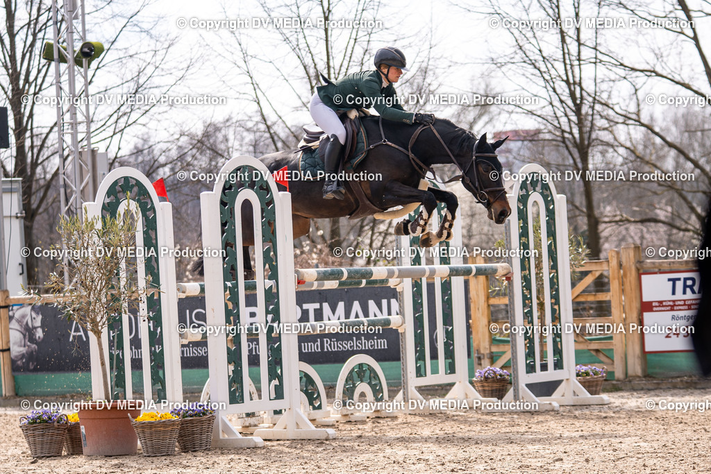 Kranichstein Tag 2-2037 | dv-media-shop - Realisiert mit Pictrs.com