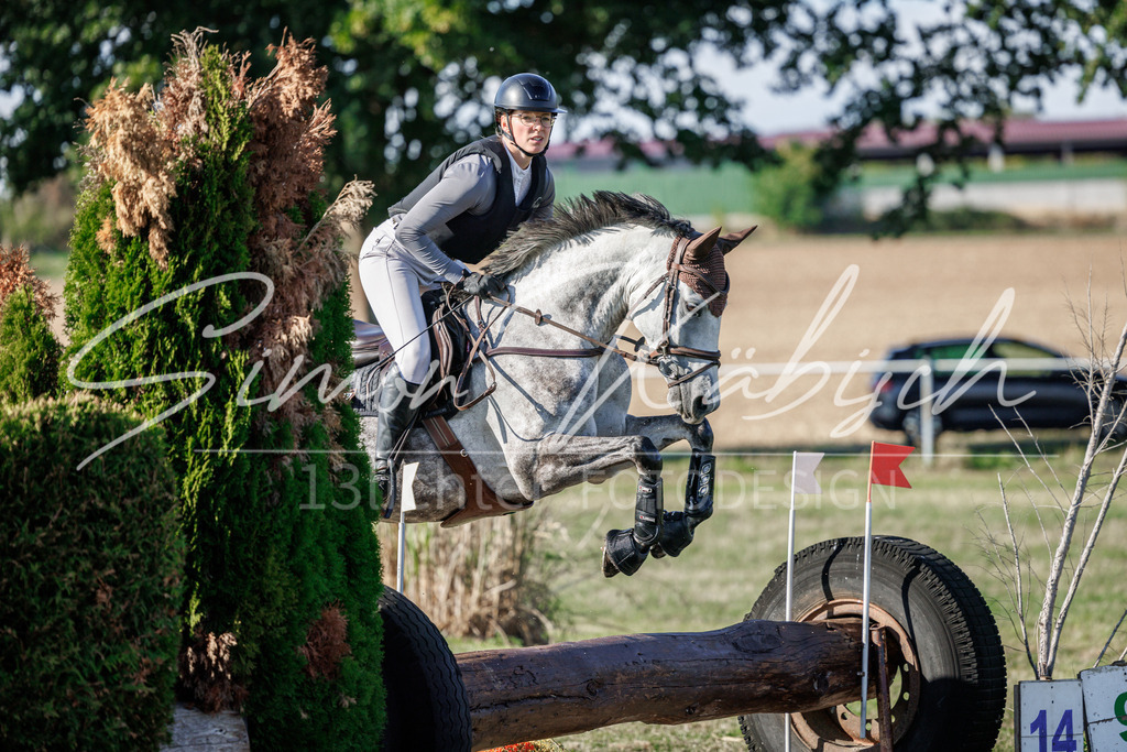 20260905-_3LI0456 | Tierfotografie Pferde, Hunde, Katzen, Haustiere.
Turnierfotografie Reitturniere, Reiten, Springreiten, Dressur in Hanau, dem Main-Kinzig-Kreis und dem Rhein-Main- Gebiet um Frankfurt