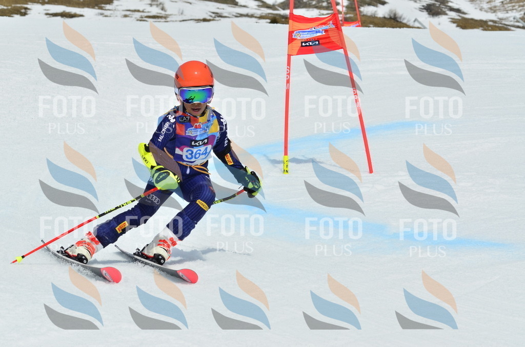 _ELE2920 | holidayphoto