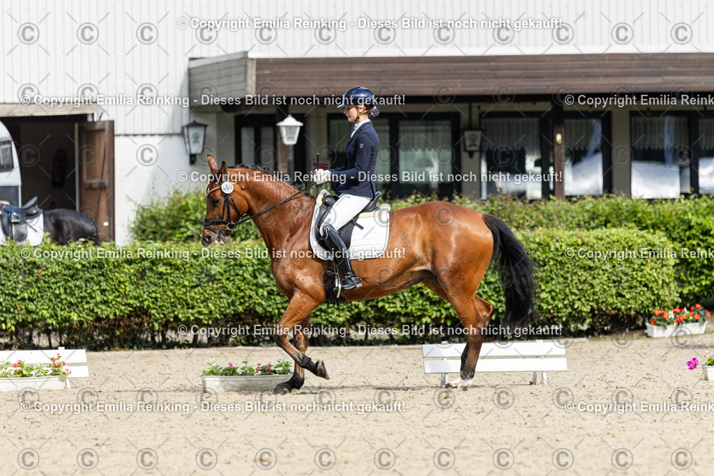 CL5A6205-2 | Emilia Reinking Fotografie - Realisiert mit Pictrs.com