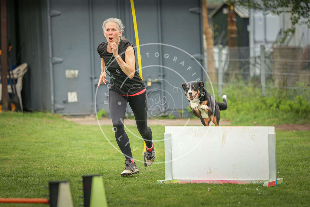 Pfotenfotografie_0L8A0059 | Hundefotografie, Tierfotograf, Pfotenfotografie, Fotoshooting Hund, Hunde Portrait, Hundesport, Hundeportraits, Heideshooting, Hunde, Sportfotograf, Hundefotograf, Turnierhundsport, THS,  - Realisiert mit Pictrs.com