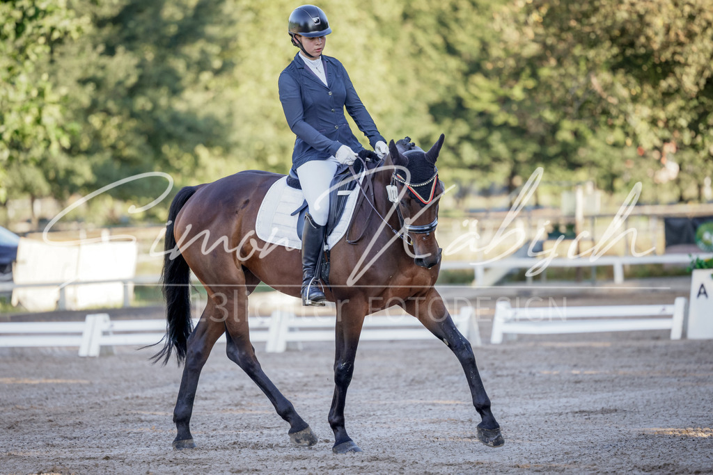 20250906-_3LI2714 | Tierfotografie Pferde, Hunde, Katzen, Haustiere.
Turnierfotografie Reitturniere, Reiten, Springreiten, Dressur in Hanau, dem Main-Kinzig-Kreis und dem Rhein-Main- Gebiet um Frankfurt