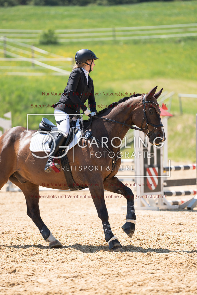 DSC04497 | Springturnier_Ehingen_Mai_2026, Sinah_Rösch, Don_Carinio_Rösch, Don_Carinio_Rösch, Don_Carinio