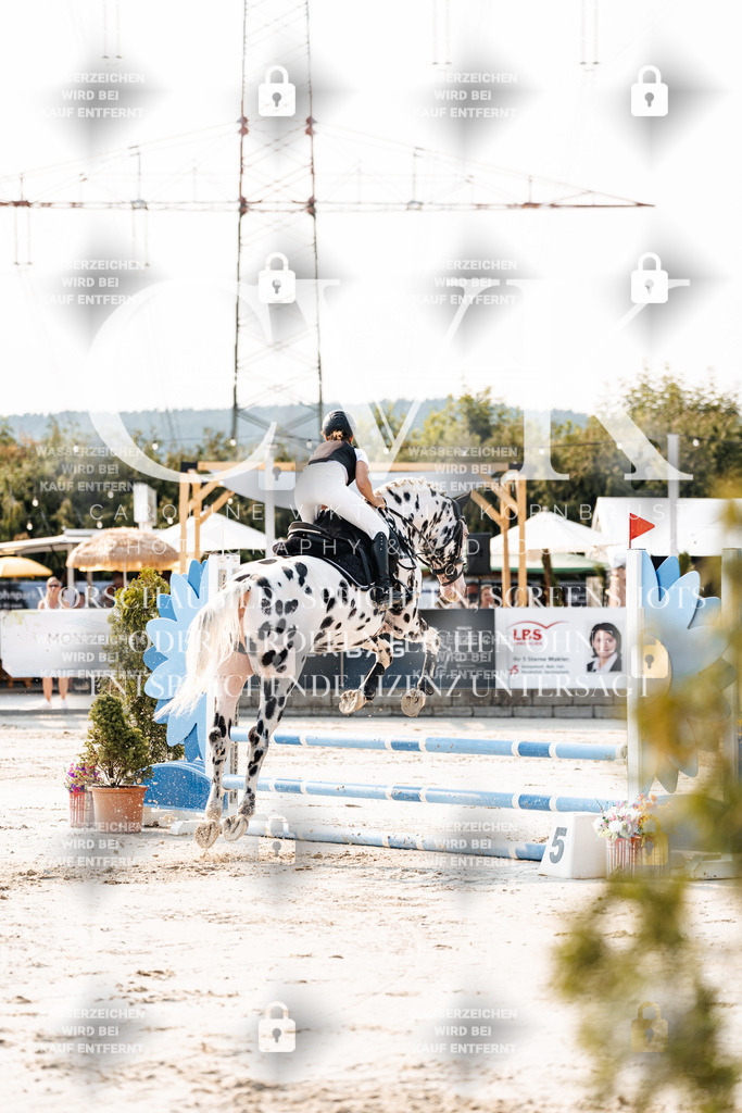 CK902810 | Turnierfotografie Pferdefotografie Trier Rheinland-Pfalz Pferdesport Reitsport Tierfotografie Sportfotografie Pferdevideo Pferdevideografie Equestrianvideography equestrianphotography  - Realisiert mit Pictrs.com