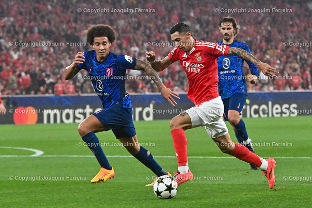 02.10.2024_ xJAAx Championsleague SL Benfica - Atl_tico Madrid_2434 Kopie | Portugal, Lisbon 2. October 2024 Uefa Champions League phase 2024/25 Matchday 2, S.L.Benfica - Atletico de Madrid v.l., Axel Witsel (Atlético Madrid), Angel di Maria (S.L.Benfica), Zweikampf, Action, Aktion, Battles for the Ball - Realisiert mit Pictrs.com