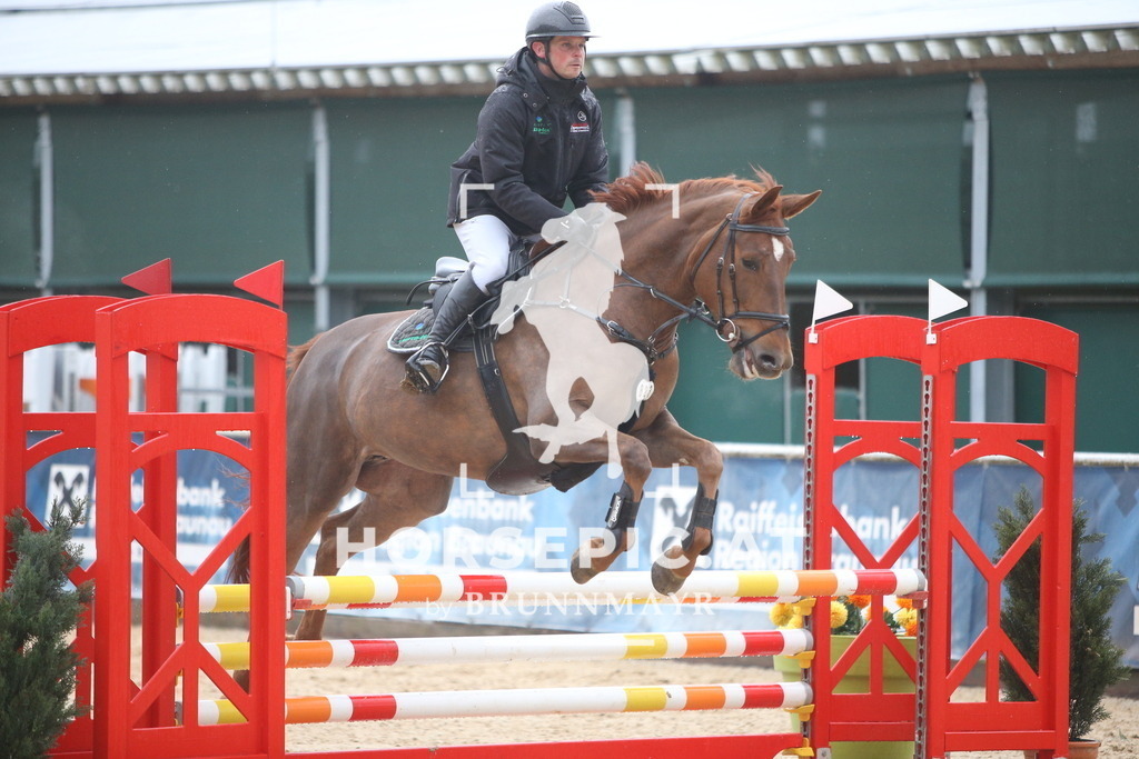 AS8V1275 | Willkommen bei Brunnmayr - Design & Fotografie – Ihrem Spezialisten für Reitturniere und Pferdeveranstaltungen in Oberösterreich, Salzburg und Bayern! Seit über 17 Jahren sind wir leidenschaftlich dabei.