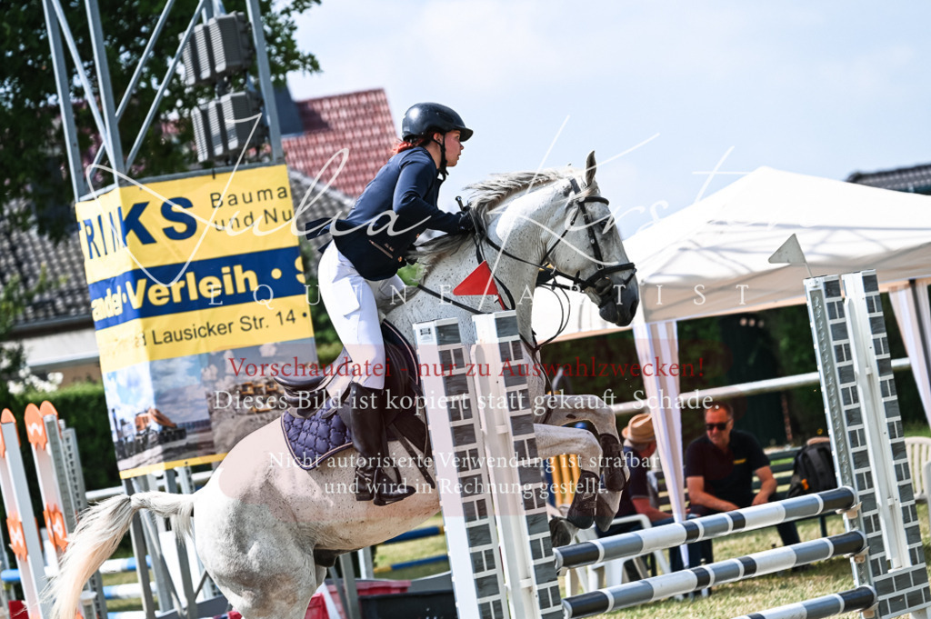 DSC_9246 | Pferde- und Turnierfotografie in Westsachsen. Pferdeportraits, Auftragszeichnungen und intuitive Kunst.