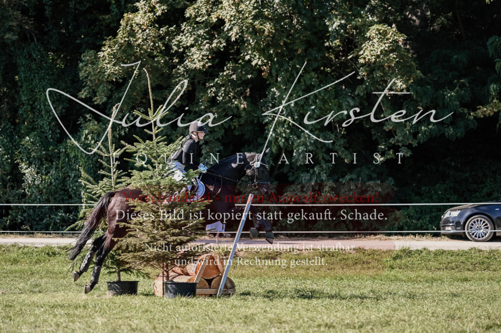 DSC_3501 | Pferde- und Turnierfotografie in Westsachsen. Pferdeportraits, Auftragszeichnungen und intuitive Kunst.