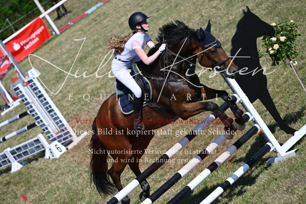 DSC_1892 | Pferde- und Turnierfotografie in Westsachsen. Pferdeportraits, Auftragszeichnungen und intuitive Kunst.