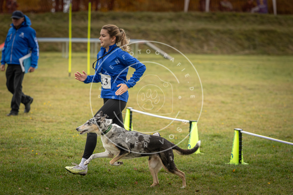 Pfotenfotografie_DV3A2852 | Hundefotografie, Tierfotograf, Pfotenfotografie, Fotoshooting Hund, Hunde Portrait, Hundesport, Hundeportraits, Heideshooting, Hunde, Sportfotograf, Hundefotograf, Turnierhundsport, THS,  - Realisiert mit Pictrs.com