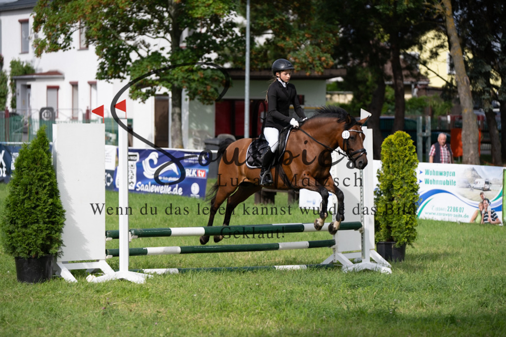 A7V03888 | Pferdefotograf