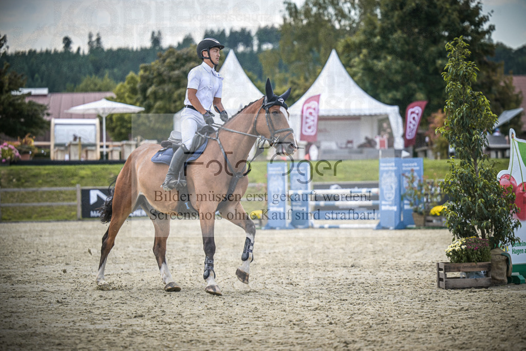 DOS_6856 | Entdecke hochwertige Reitturnierfotos von Foto Oger. Professionell, emotional und authentisch – jetzt Lieblingsmomente im Shop bestellen.Deutschlandweite Turnierfotografie. - Realisiert mit Pictrs.com