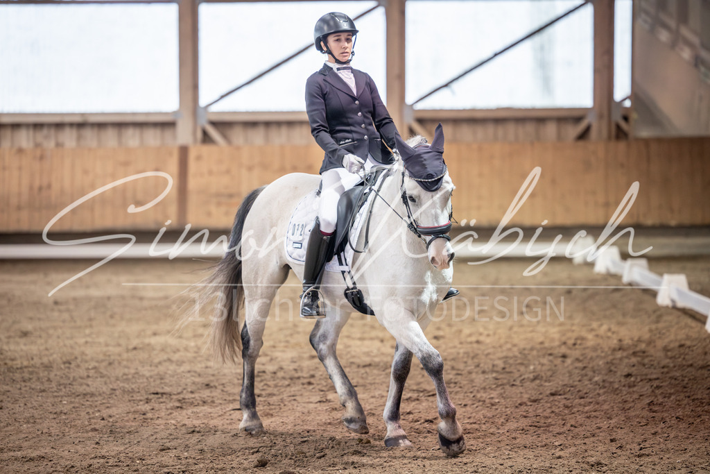 20251011-_3LI1937 | Tierfotografie Pferde, Hunde, Katzen, Haustiere.
Turnierfotografie Reitturniere, Reiten, Springreiten, Dressur in Hanau, dem Main-Kinzig-Kreis und dem Rhein-Main- Gebiet um Frankfurt