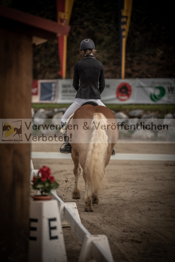 DSC_8111 | equestrian-live-com