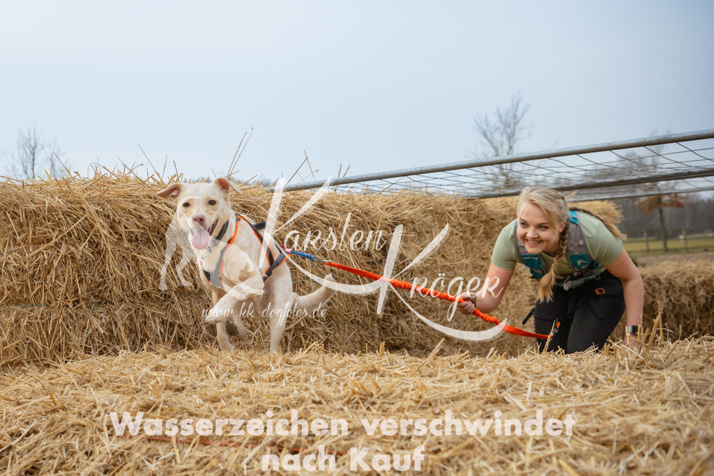 0817_ZZ92300 | kk-dogfotos
