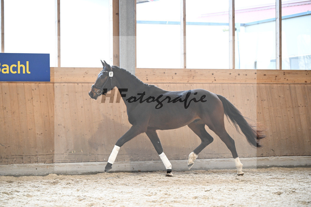 Kat-Nr. 68 Diamond fuer mi v. Diamond First_Kafl_5252085 | hf-fotografie - Realizzato con Pictrs.com