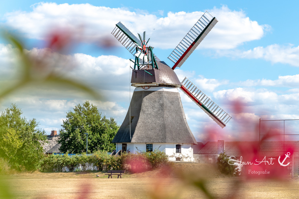 EAF_5248 | Wrixumer Mühle