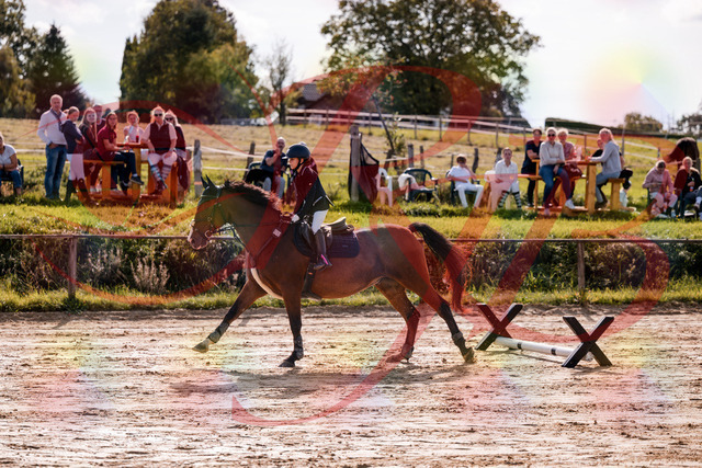 2026_10_03_Siefer-Hof_143808_Z81_07882865 | Professionelle Reitsport-, Turnier- und Eventfotografie von Robert Broda. Galerien mit ausgewählten und bearbeiteten Bildern direkt online ansehen und bestellen.