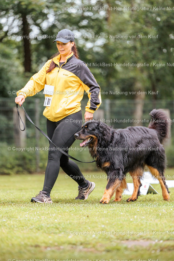 RO-Blumenthal-2026-Nickbest-Hundefotografie-4145 | Dein Hund! Dein Moment! Deine Erinnerungen! Hundefotografie in Bremen Blumenthal. Ich fange die besonderen Momente deines Vierbeiners ein – ob Indoor mit Blitzanlage oder in der freien Natur. Sicher dir dein Moment und dein Termin für eure Erinnerungen.