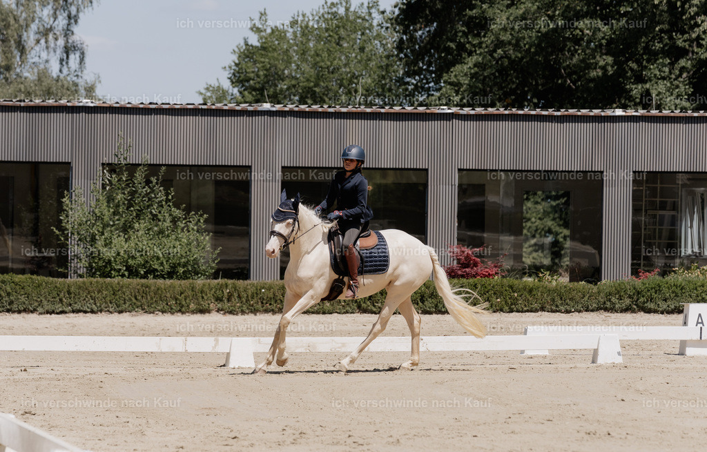 WE_DR_27_SinaFilmArt_IN03083 | working equitationturnier fotograf videograf stoibphotography marixx film working equitation deutschland reitsport turnierfotografie eventfotografie equestrian events
