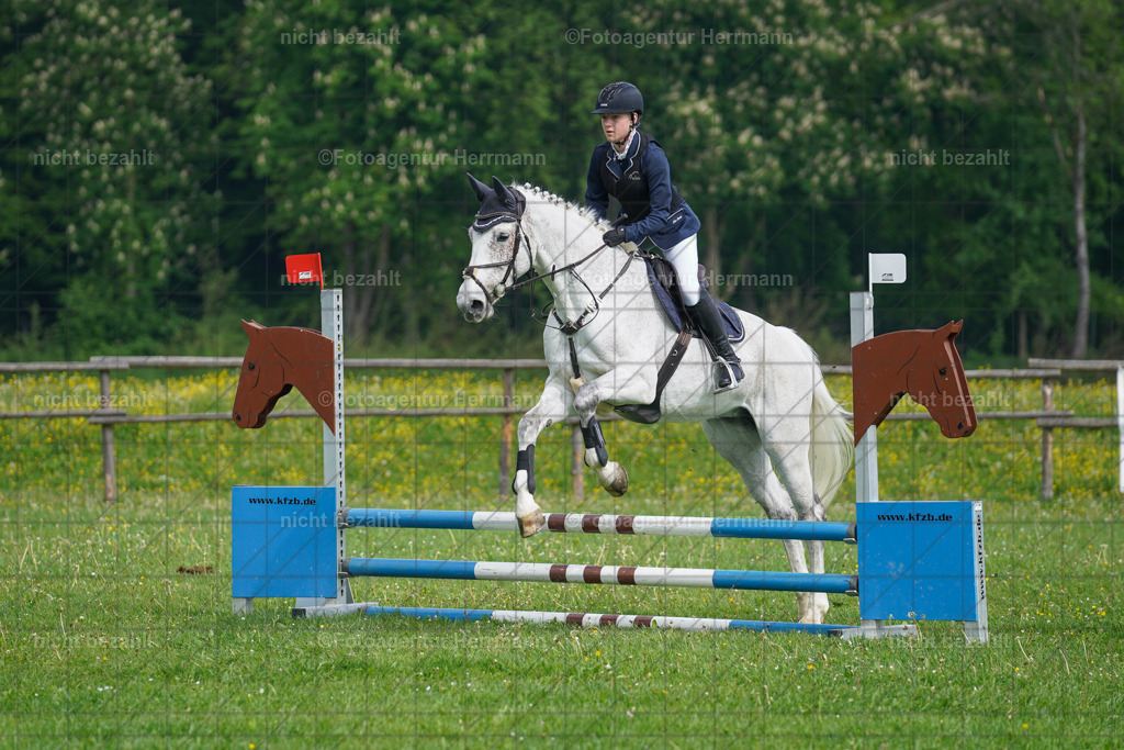 20240509-FAH02162 | Turnierbilder der Turnierfotografen Bayern, Pferdesport Fotografie, Reitsportbilder, Turnier Landberg am Lech, Turnierbilder bayern, Fotoagentur Herrmann