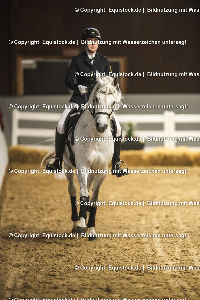 20240302_Hengstvorstellung_Marbach_TOMsPiC_1044 | equistock