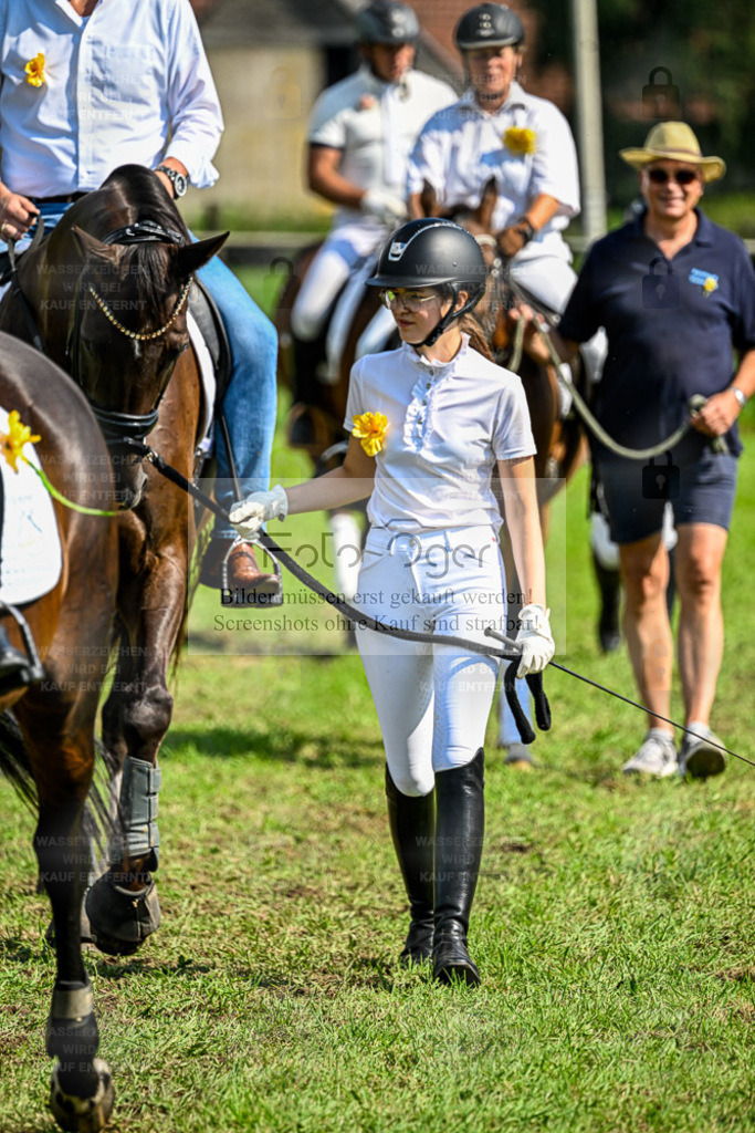 Reitturnier Hasbergen | Entdecke hochwertige Reitturnierfotos von Foto Oger. Professionell, emotional und authentisch – jetzt Lieblingsmomente im Shop bestellen. - Realisiert mit Pictrs.com