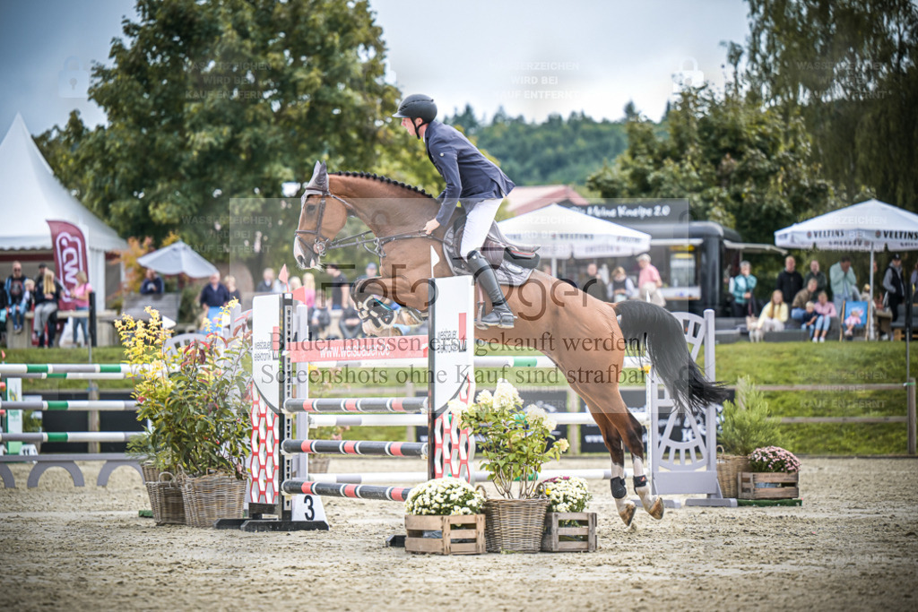 DOS_0783 | Entdecke hochwertige Reitturnierfotos von Foto Oger. Professionell, emotional und authentisch – jetzt Lieblingsmomente im Shop bestellen. - Realisiert mit Pictrs.com