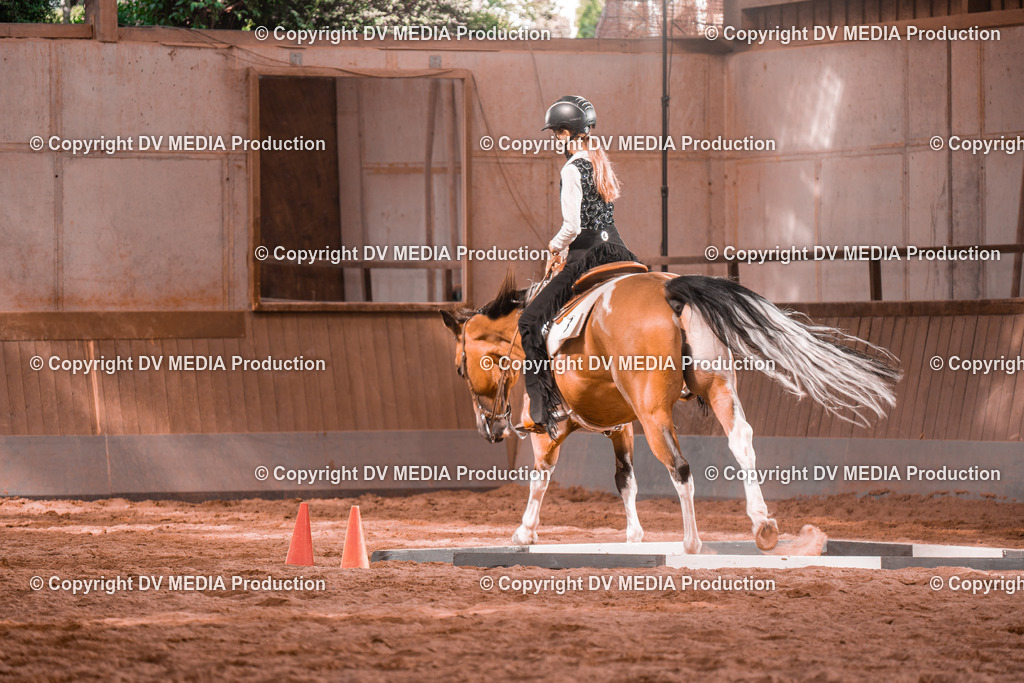 NE200235 | dv-media-shop - Realisiert mit Pictrs.com