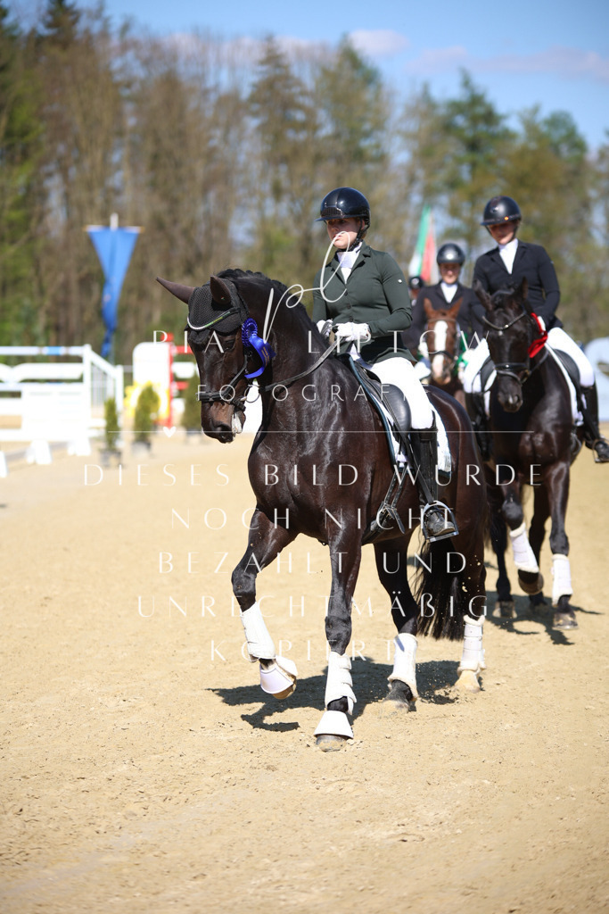 IMGT8217 | pl-fotografie