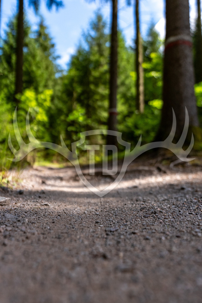 _DSC0015 | Fotogalerie der Treibjagd im Dunkelwald - Dein MTB Etappenrennen im Erzgebirge - Realisiert mit Pictrs.com