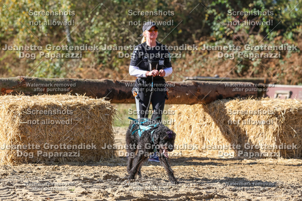 Dog Paparazzi - Strongdog 10-25-4662 | Dog Paparazzi Jeanette Grottendiek Fotografie & Videografie - Realisiert mit Pictrs.com