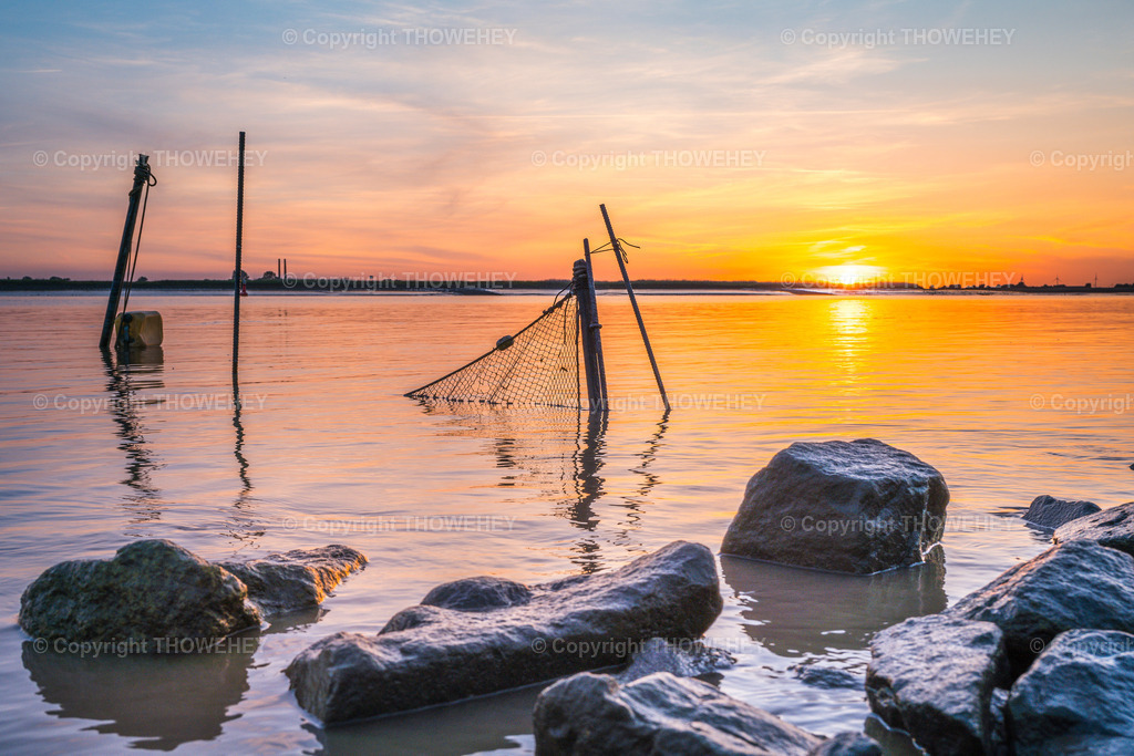 _1040440 | thowehey - Realisiert mit Pictrs.com