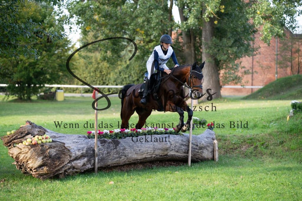 A7V03052 | Pferdefotograf