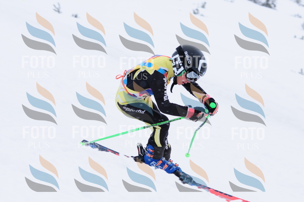 C2257 | holidayphoto