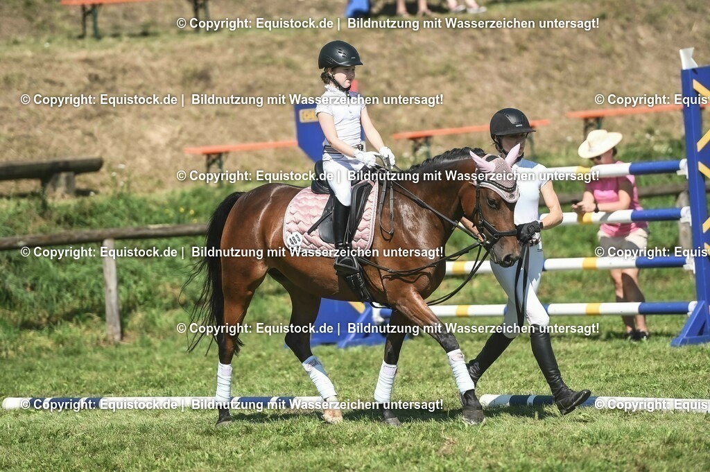 20230910_11-2_Führzügel-WB_0052 | Foto: Thomas Hartig