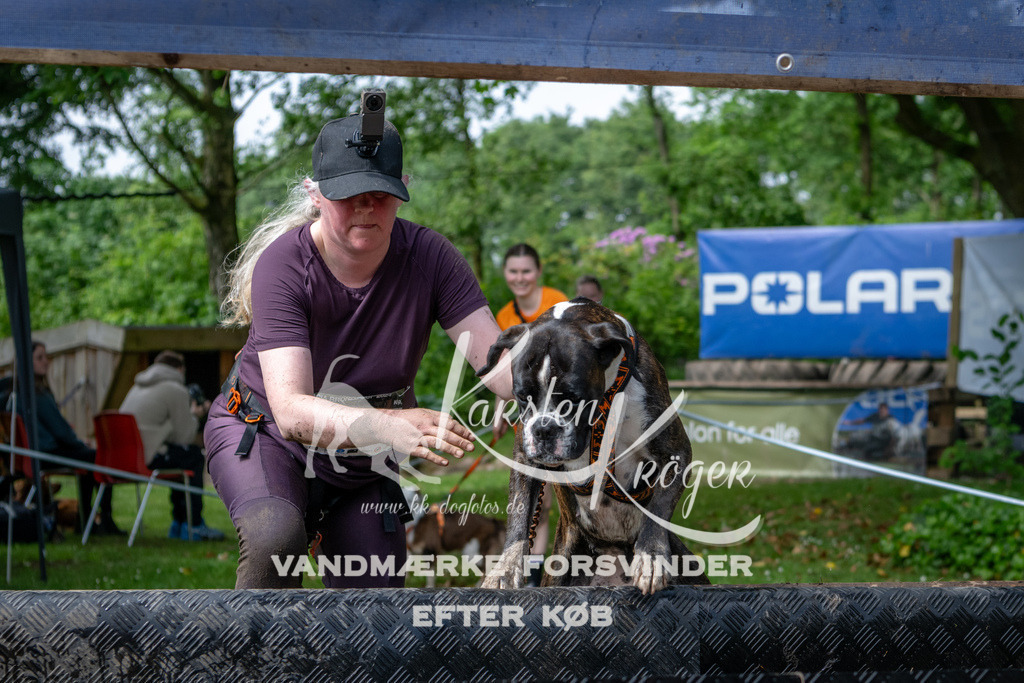 1032_ZZ91184 | kk-dogfotos