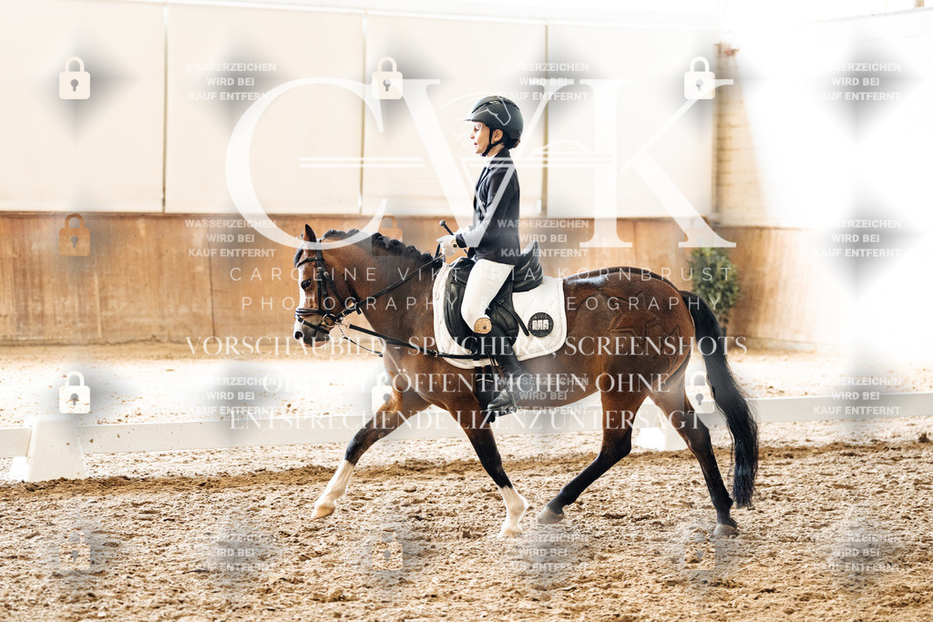 CK900565 | Turnierfotografie Pferdefotografie Trier Rheinland-Pfalz Pferdesport Reitsport Tierfotografie Sportfotografie Pferdevideo Pferdevideografie Equestrianvideography equestrianphotography  - Realized with Pictrs.com